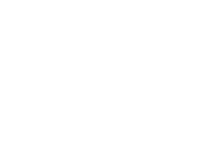 Twin Bridges logo